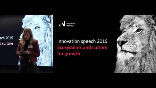 Link til 9 of 10 - MIT reap 2019: Ecosystems and culture for growth