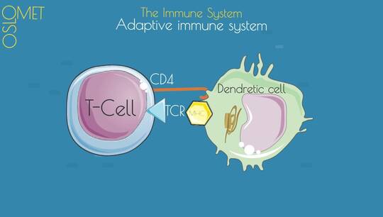 Link til Adaptive Immune System